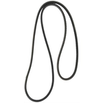 Order CONTINENTAL - 15585 - Serpentine Belt - Automotive V-Belt For Your Vehicle