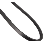 Order Air Pump And Water Pump Belt by CONTINENTAL - 15555MK For Your Vehicle