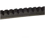 Order CONTINENTAL - 15545 - Accessory Drive Belt - Automotive V-Belt For Your Vehicle