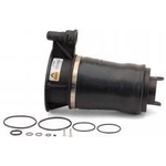 Order Ressort pneumatique de ARNOTT - A2647 For Your Vehicle