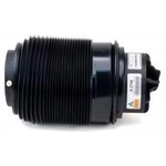 Order ARNOTT - A2790 - Air Spring For Your Vehicle