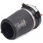 Order Air Spring by ARNOTT - A2861 For Your Vehicle