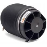 Order Air Spring by ARNOTT - A2960 For Your Vehicle