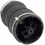 Order Air Spring by ARNOTT - A3025 For Your Vehicle