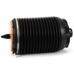 Order Air Spring by ARNOTT - A3945 For Your Vehicle