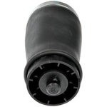 Purchase Air Spring by DORMAN (OE SOLUTIONS) - 949951