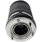 Purchase Air Spring by DORMAN (OE SOLUTIONS) - 949988