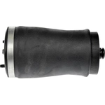 Purchase Air Spring by DORMAN (OE SOLUTIONS) - 949995