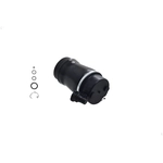 Order FCS AUTOMOTIVE - Q4037 - Air Suspension Spring For Your Vehicle