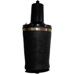 Order Air Spring by UNITY AUTOMOTIVE - 15170000 For Your Vehicle