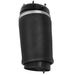Order Air Spring by UNITY AUTOMOTIVE - 15172001 For Your Vehicle