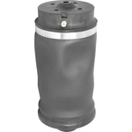 Order AUTOMOTIVE - 15512900 - Air Spring For Your Vehicle