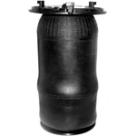 Order UNITY AUTOMOTIVE - 15514800 - New Rear Standard Air Spring Bag For Your Vehicle