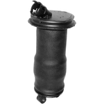 Order Air Spring by UNITY AUTOMOTIVE - 15-536000 For Your Vehicle