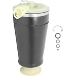 Order UNITY AUTOMOTIVE - 15540000 - New Rear Standard Air Spring Bag For Your Vehicle
