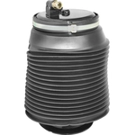 Order UNITY AUTOMOTIVE - 15562002 - New Rear Passenger Side Air Spring Bag For Your Vehicle