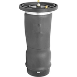 Order Air Spring by UNITY AUTOMOTIVE - 15571000 For Your Vehicle