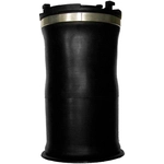 Order Air Spring by UNITY AUTOMOTIVE - 15599000 For Your Vehicle