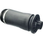 Order URO - 1643200625 - Air Spring For Your Vehicle