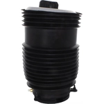 Order Air Spring by WESTAR INDUSTRIES - AS17102 For Your Vehicle