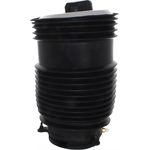 Order Air Spring by WESTAR INDUSTRIES - AS17103 For Your Vehicle