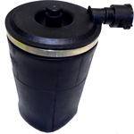 Order Air Spring by WESTAR INDUSTRIES - AS7000 For Your Vehicle