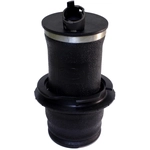 Order Air Spring by WESTAR INDUSTRIES - AS7007 For Your Vehicle