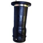 Order Air Spring by WESTAR INDUSTRIES - AS7020 For Your Vehicle