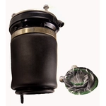 Order Air Spring by WESTAR INDUSTRIES - AS7028 For Your Vehicle