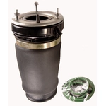 Order Air Spring by WESTAR INDUSTRIES - AS7029 For Your Vehicle