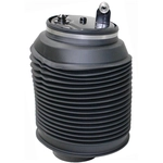 Order Air Spring by WESTAR INDUSTRIES - AS7037 For Your Vehicle