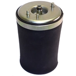 Order Air Spring by WESTAR INDUSTRIES - AS7058 For Your Vehicle