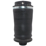 Order WESTAR INDUSTRIES - AS7060 - Air Spring For Your Vehicle