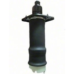 Order Air Spring by WESTAR INDUSTRIES - AS7072 For Your Vehicle