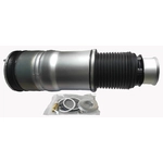 Order Air Spring by WESTAR INDUSTRIES - AS7095 For Your Vehicle