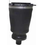 Order Air Spring by WESTAR INDUSTRIES - AS7342 For Your Vehicle