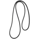 Order CONTINENTAL - 13605 - Accessory Drive Belt - Automotive V- Belt For Your Vehicle