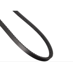 Order CONTINENTAL - 15406 - Accessory Drive Belt - Automotive V- Belt For Your Vehicle