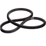 Order Alternator And Fan Belt by DAYCO - 17620 For Your Vehicle