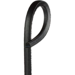 Order Alternator And Water Pump Belt by GATES - A46 For Your Vehicle