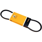 Order CONTINENTAL - 10X775 - ContiTech V-Belt For Your Vehicle