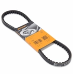 Order CONTINENTAL - 10X865 - V-Courroie For Your Vehicle