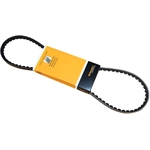 Order CONTINENTAL - 10X913 - ContiTech V-Belt For Your Vehicle