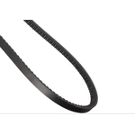 Order Accessory Drive Belt - Automotive V-Belt by CONTINENTAL - 13605 For Your Vehicle