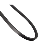 Order CONTINENTAL - 17321 - Accessory Drive Belt - Automotive V- Belt For Your Vehicle