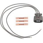 Order STANDARD - PRO SERIES - S2533 - Voltage Regulator Connector For Your Vehicle