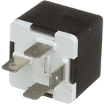 Order BLUE STREAK (HYGRADE MOTOR) - RY1981 - Relay For Your Vehicle