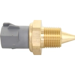 Order Ambient Air Temperature Sensor by HOLSTEIN - 2CTS0282 For Your Vehicle