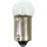 Order Lumière de cendrier (paquet de 10) de WAGNER - 53 For Your Vehicle