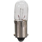 Order Lumière de cendrier de WAGNER - BP1891 For Your Vehicle